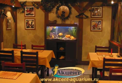 Акцент-аквариум,аквариум 250 литров,ресторан